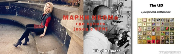 твердый Надым