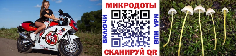 купить   Жуковский  MEGA как зайти  Псилоцибиновые грибы Psilocybe 