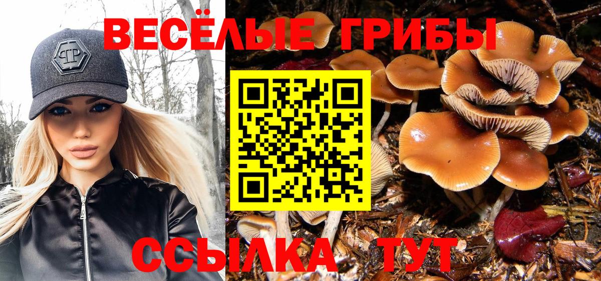 Псилоцибиновые грибы ЛСД Жуковский