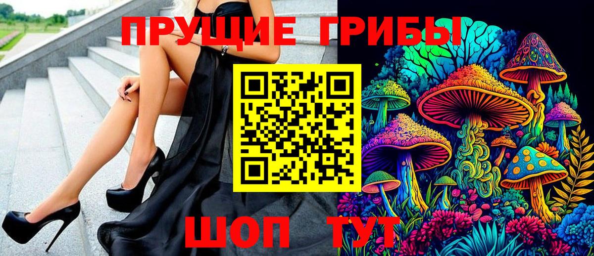 Жуковский  Псилоцибиновые грибы мухоморы  Вход с VPN 